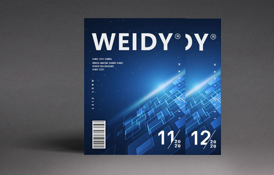Weidy Monthly 